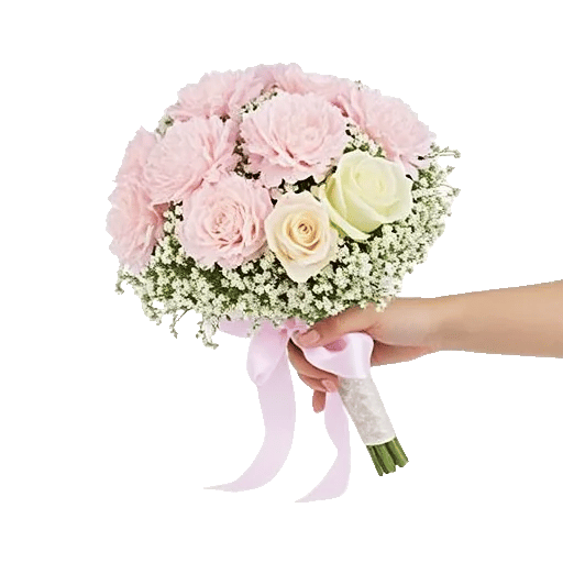 Pastel Pink Roses