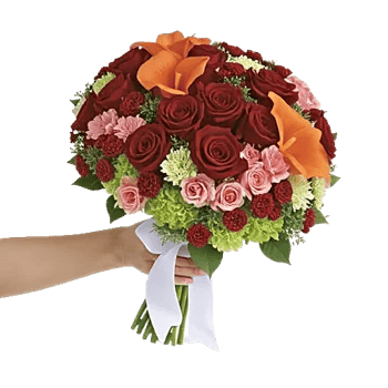Blushing Rose Symphony