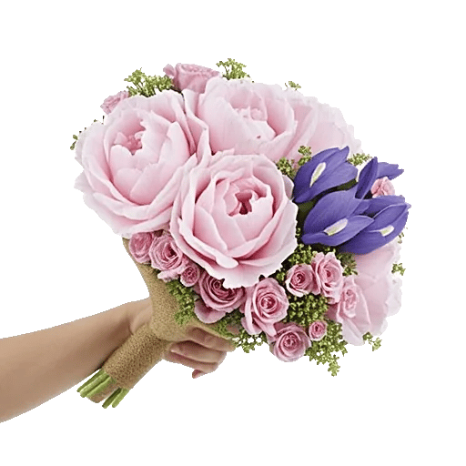 Peony Petal Harmony