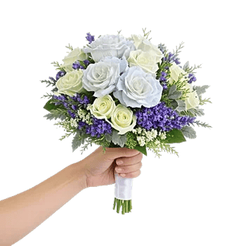 Serene Petal Harmony