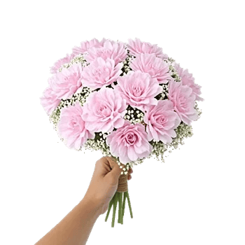 Pastel Pink Roses