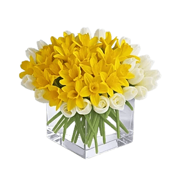Petal Radiance Bliss