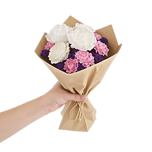 Peony Petal Harmony