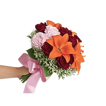 Blushing Rose Symphony