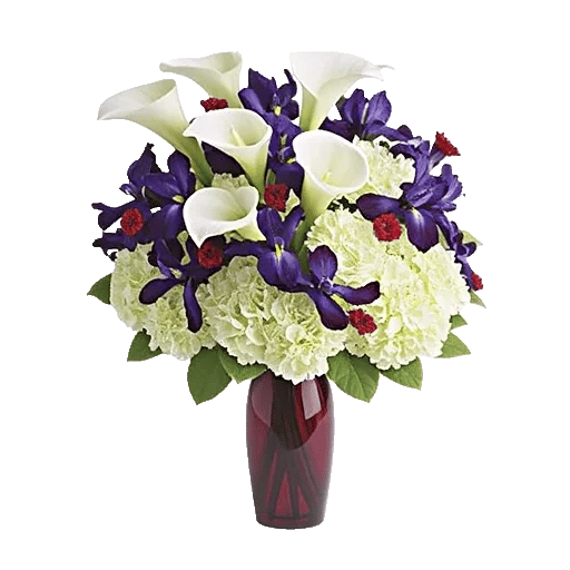Elegant Calla Lilies