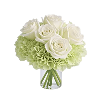 Ivory Blossom Radiance