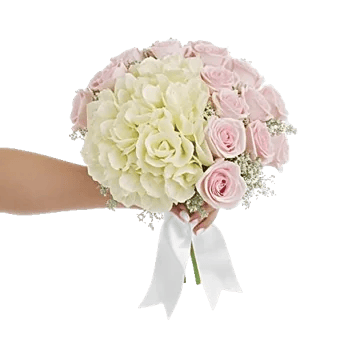 Serene Petal Harmony