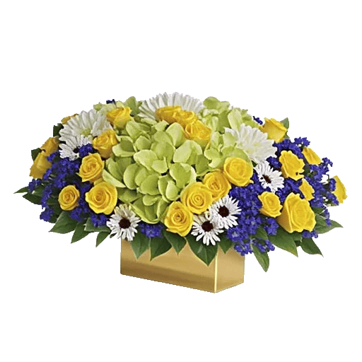 Serene Petal Harmony