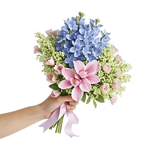 Blossom Petal Serenity