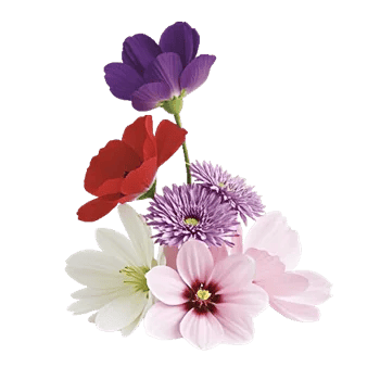 Graceful Lily Display