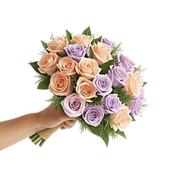 Pastel Pink Roses