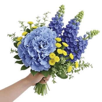Sapphire Bloom Whisper