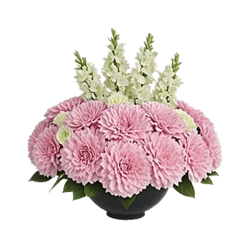 Pastel Pink Roses