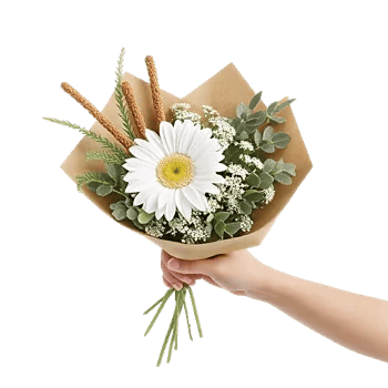 Petal Harmony Bliss