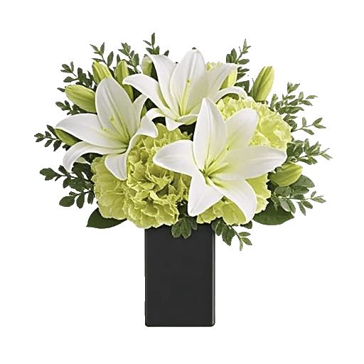 Ivory Blossom Radiance