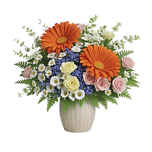 Enchanting Daisy Garden