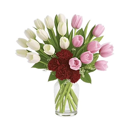 Velvet Tulip Display