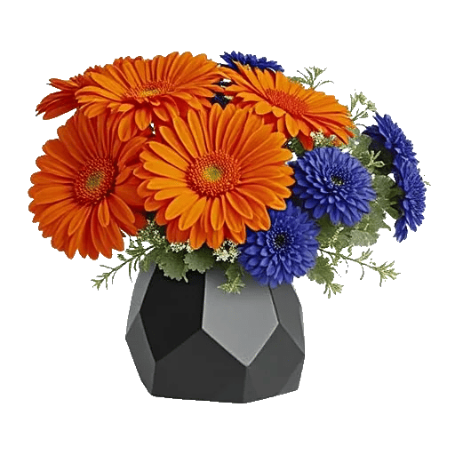 Petal Radiance Bliss