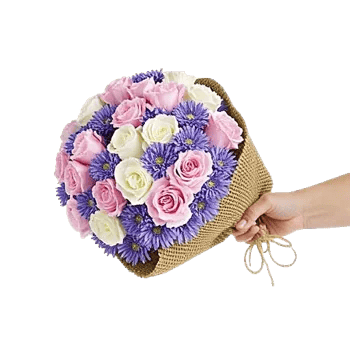 Pastel Pink Roses