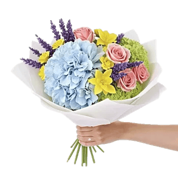 Serene Petal Harmony