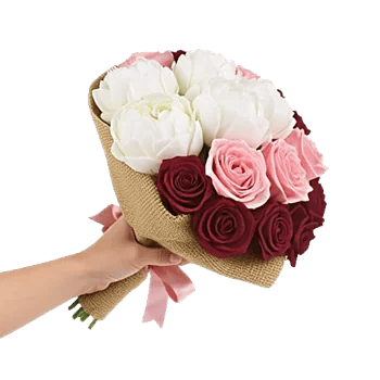 Peony Petal Harmony