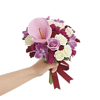 Elegant Calla Lilies