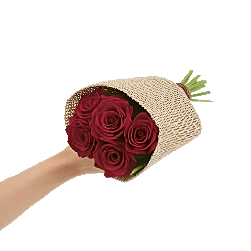 Crimson Rose Elegance