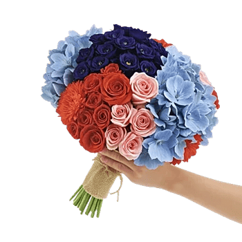 Serenity Blossom Grace