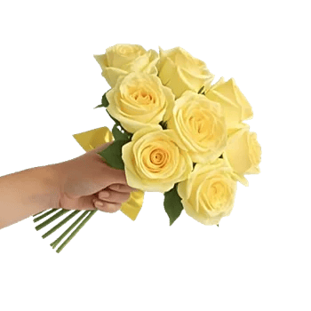 Blushing Rose Symphony