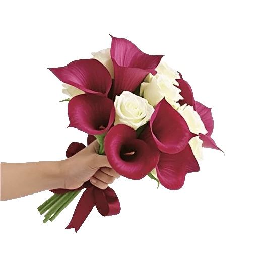 Elegant Calla Lilies