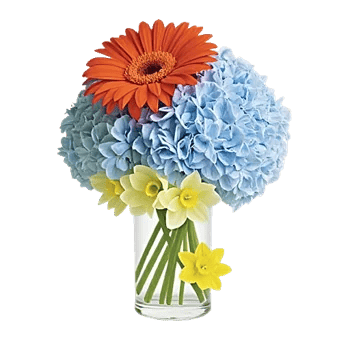 Vibrant Orange Delight