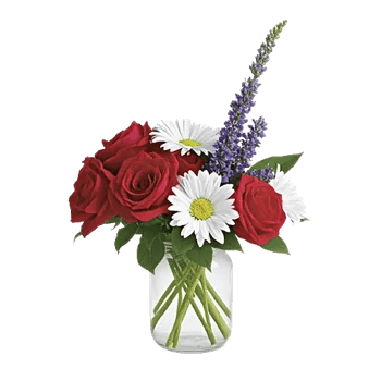Crimson Rose Elegance