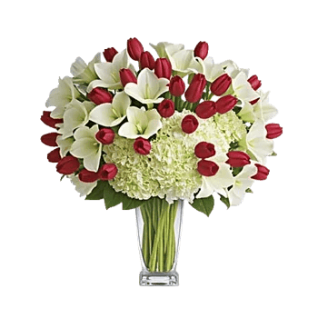Elegant Calla Lilies