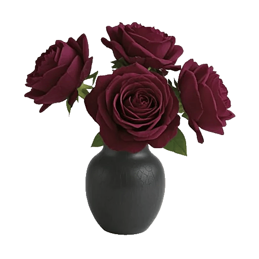 Petal Radiance Bliss