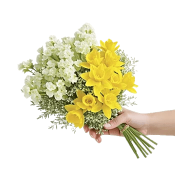 Blossom Harmony Display