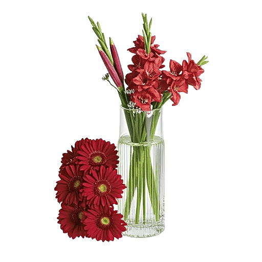Ruby Petal Cascade