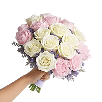 Petal Grace Harmony