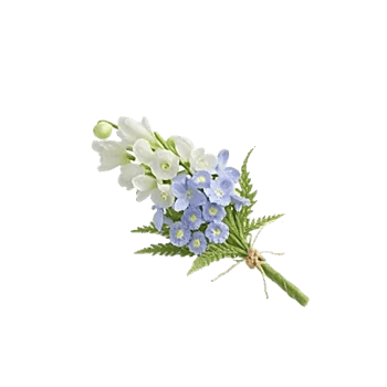 Blossom Petal Serenity