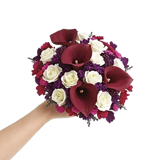 Elegant Calla Lilies