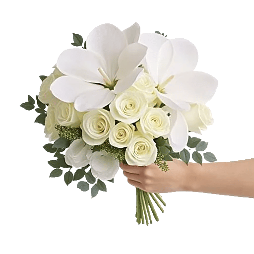 Minimalist White Orchids