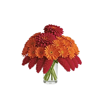 Ruby Petal Cascade