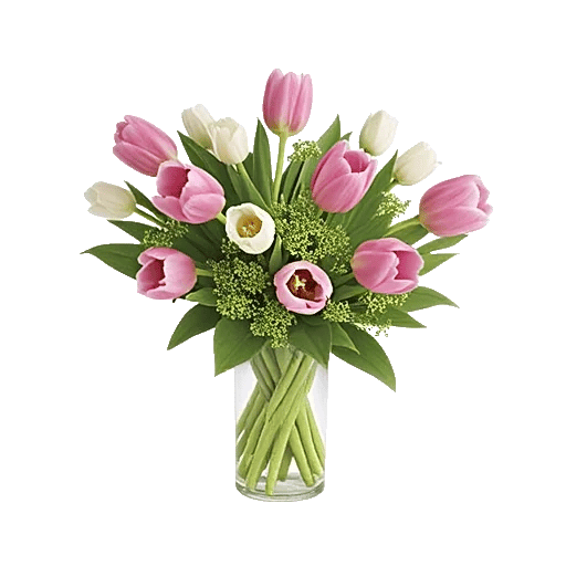 Velvet Tulip Display