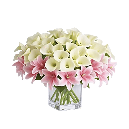 Elegant Calla Lilies