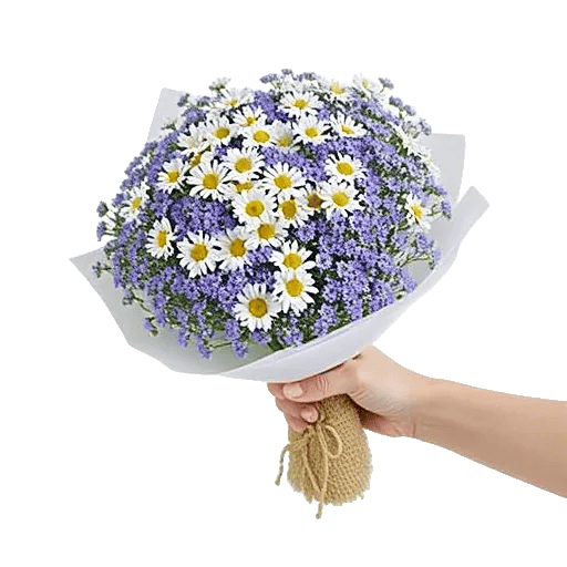 Serene Petal Harmony