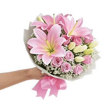 Blossom Petal Serenity