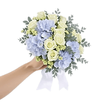 Serene Petal Harmony