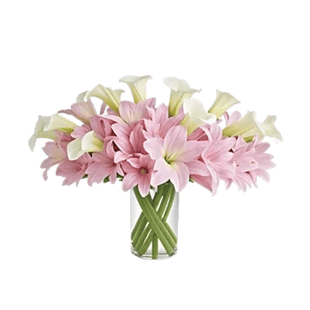 Elegant Calla Lilies