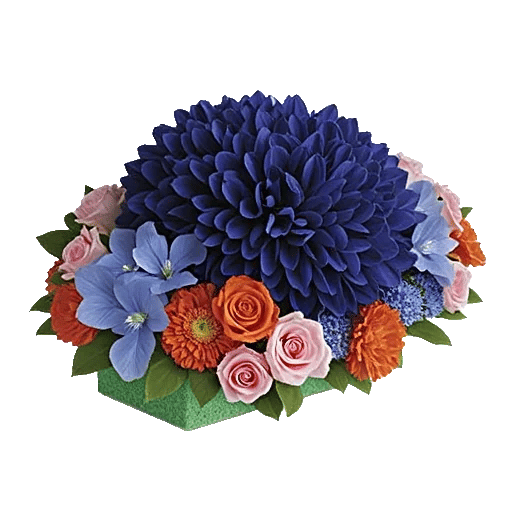 Sapphire Bloom Whisper