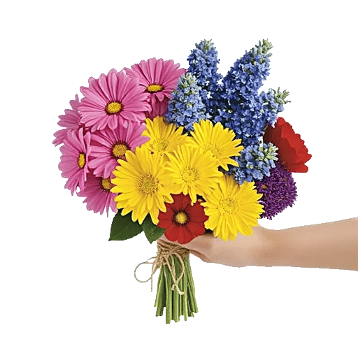 Blossom Harmony Display