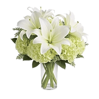 Ivory Blossom Radiance